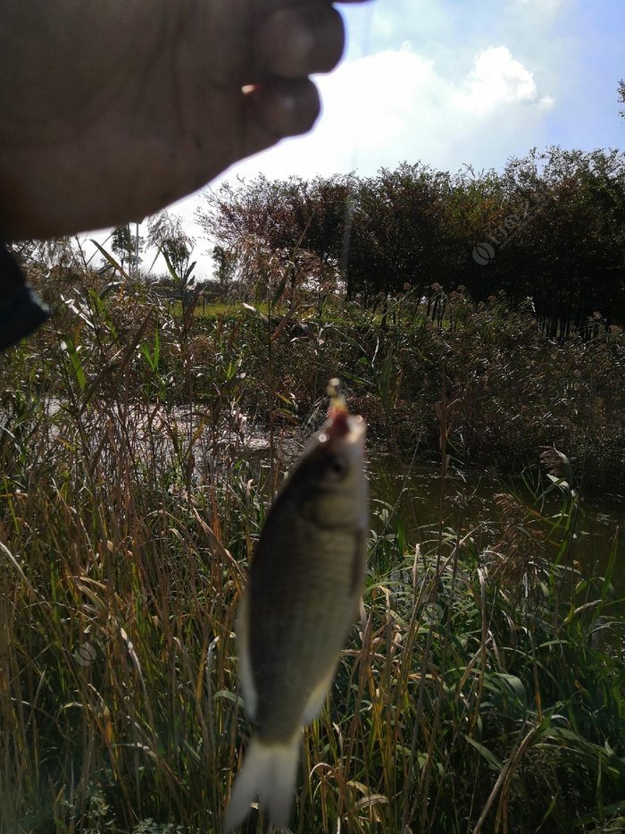 全力建设“世界绿色硅都”